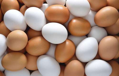 قیمت دستوری، تخم‌مرغ‌ها را کوچک کرد.